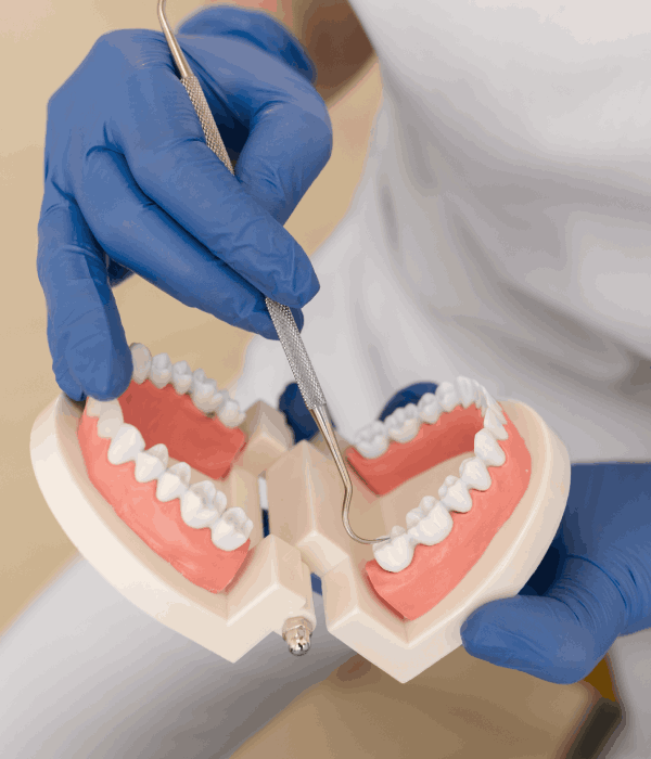 Prótesis Dental A Medida